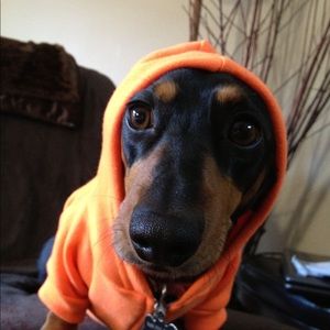 Meet your Posher, Adel